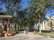 河北固安孔雀城美丽园1、8号楼在售信息介绍