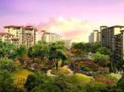 固安k2红树湾项目介绍