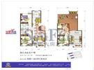 欧逸丽庭M1A-P户型 4室3厅3卫