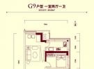 意华东贸国际G9户型图 1室2厅