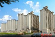 一线城市地价年内同比上涨近四成