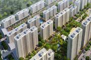 观点意见：地王是怎样炼成的？