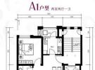 A1反户型图