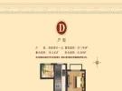 D户型