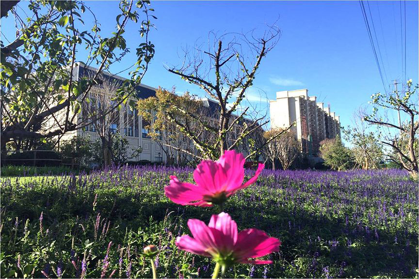 userfiles/image/20160518/18100143dd30a897ab7935.jpg#864#576