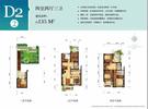 D户型135平