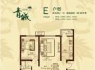 E户型