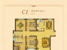 C1