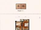 8号楼91平B户型