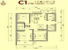 C1