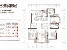 B3户型164㎡四居