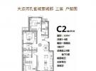C2