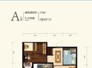 高层5、6号楼标准层A户型