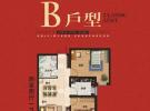 B户型