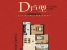 D户型