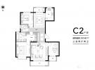 C2