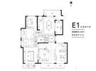 E1