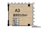 A3