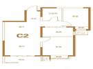 C2