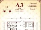 A3