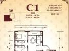 C1