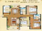 3、7#楼-C7户型