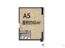 A5