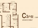 C3