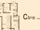 C3