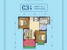 C3