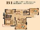 B1