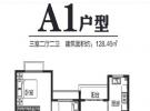 A1