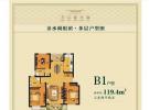 多层B1户型