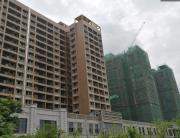 新力帝泊湾特价房