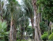 凯尊公馆特价房