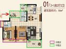 01户型