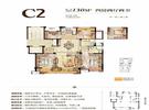 C2