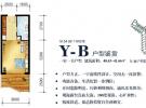 Y-B