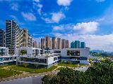 中洲半岛城邦