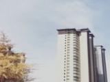 民生城·玖峯