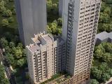 金色港湾