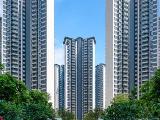 华润置地润悦