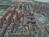 新北家园