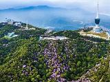 鹏瑞半山云璟