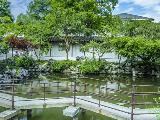 观湖春天