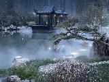 万景海棠九镜