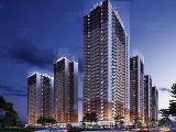 泽良御景龙庭