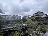 绿城春颂香雪里
