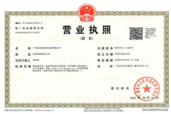 公交珠实花城云著