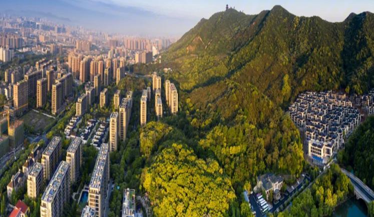 半山林畔